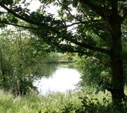 Image of GUNTHWAITE DAM